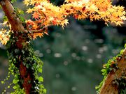 まささんの鎌北湖の投稿写真1