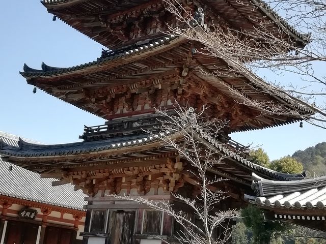 三重塔です_壷阪寺三重塔