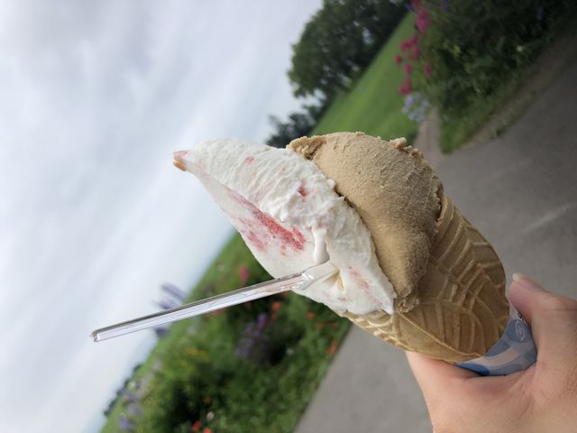 ジェラート_レークヒル・ファーム