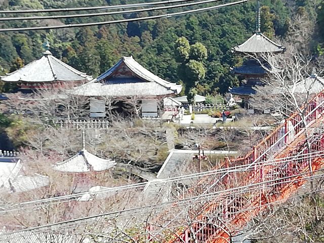 高台からは禮堂、八角円堂、三重塔が望めます_壷阪寺大涅槃石像