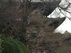 當麻寺 中之坊の写真2