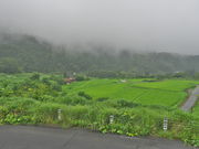 sklfhさんの横尾の棚田の投稿写真1