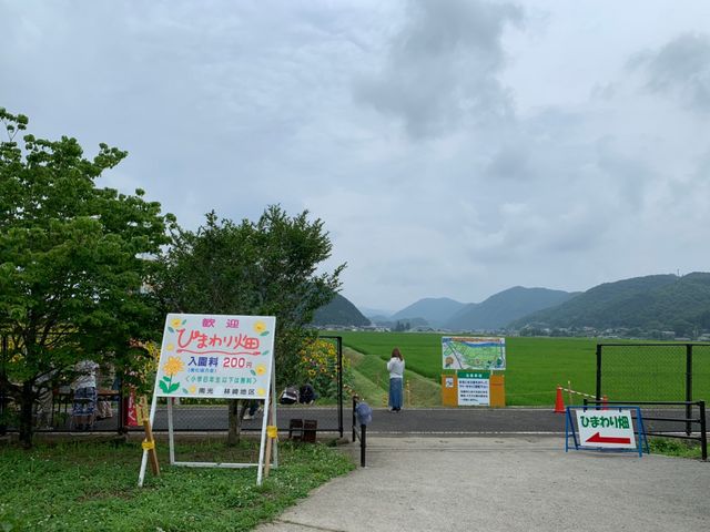 ひまわり畑入口_南光ひまわり館