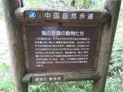 キヨさんの中国自然歩道鬼の舌震コースの投稿写真1