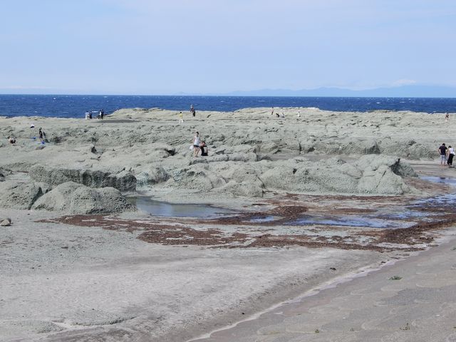 広い!_千畳敷海岸