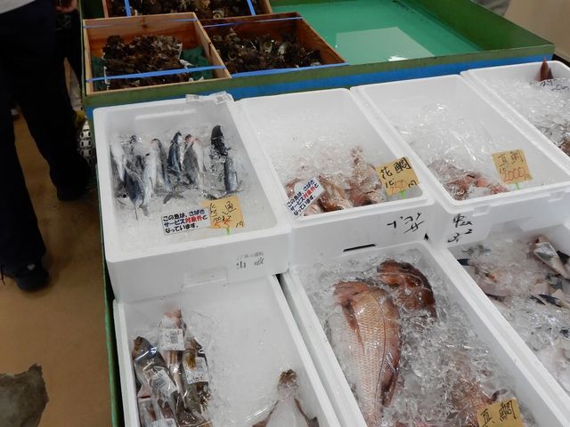 オール深浦町産_道の駅 ふかうらかそせいか焼き村