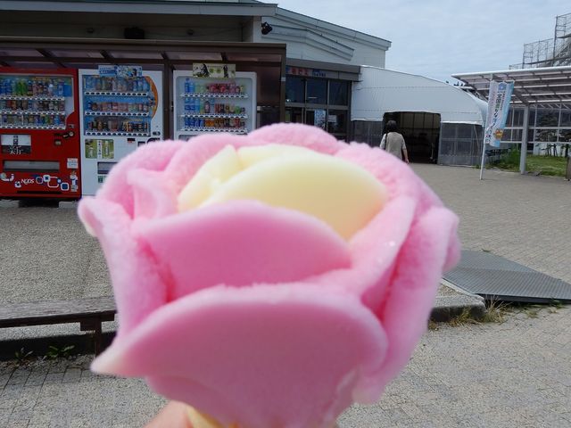 一回り大きいババヘラアイス_道の駅しょうわ