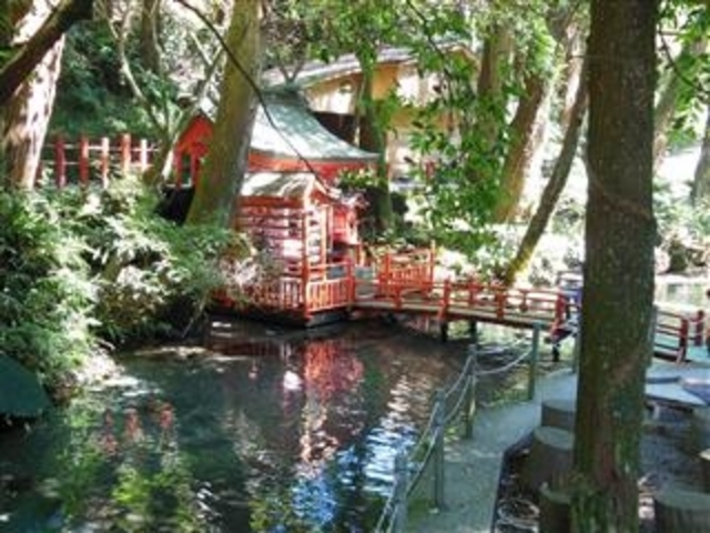 「唐船峡そうめん流し会場内の池」_唐船峡公園