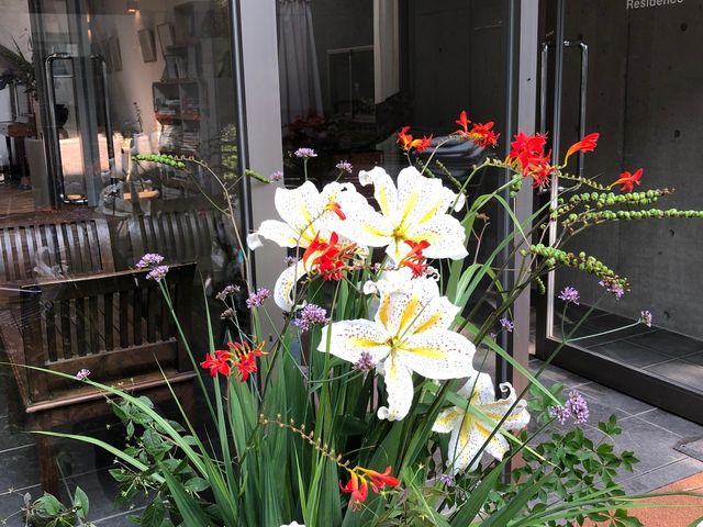 宿泊棟入口の迎え花_アート・ビオトープ那須