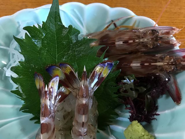 きれいな尾っぽ!_海老の宮川