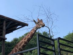 長崎バイオパークの写真1