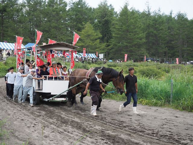 雷ちゃんさんの高ボッチ高原・鉢伏山の投稿写真2