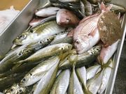 Kさんの福玄丸の投稿写真1