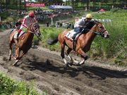 雷ちゃんさんの高ボッチ高原・鉢伏山の投稿写真1