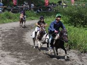 雷ちゃんさんの高ボッチ高原・鉢伏山の投稿写真3