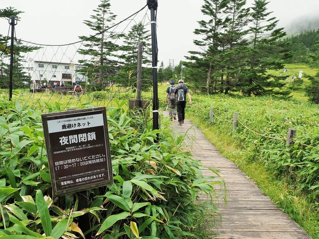 鹿避けネット_北八ヶ岳ロープウェイ