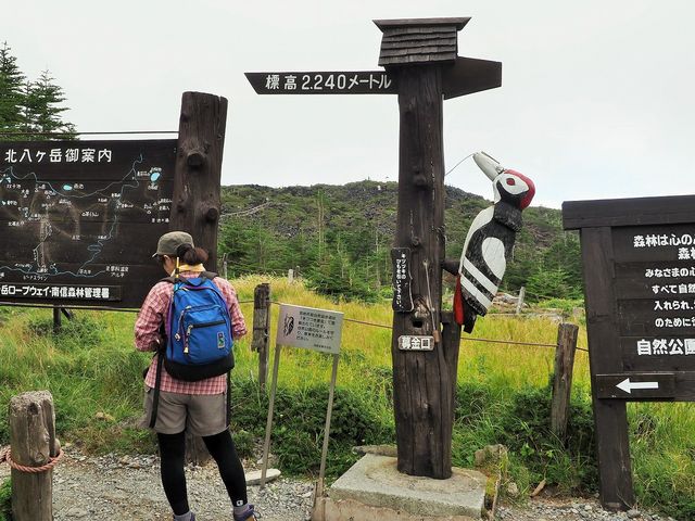 坪庭駅前_北八ヶ岳ロープウェイ
