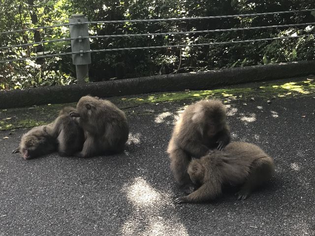 西部林道A_西部林道