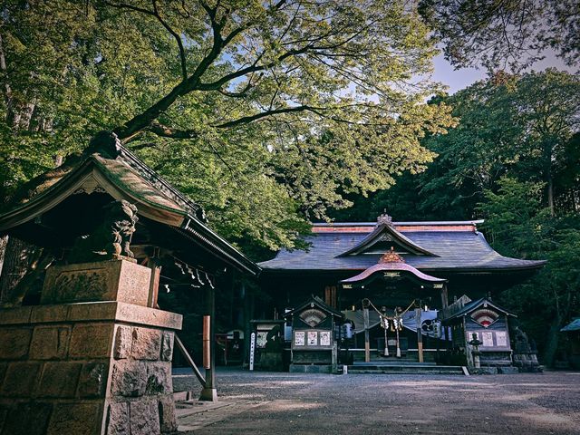 温泉神社_いわき湯本 温泉神社