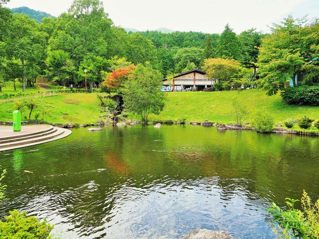 鯉に餌を遣ってみよう_駒ヶ根高原アルプスの丘 家族旅行村
