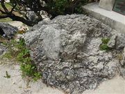 甘辛熊さんの赤山公園の投稿写真2