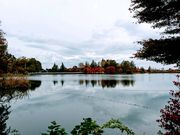 yu‐cyanさんの蓼科湖の投稿写真1