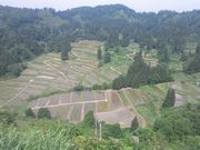 akaneさんの慶地の棚田展望台の投稿写真1