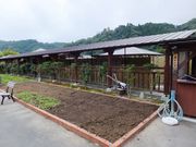 こぼらさんの下湯原温泉の投稿写真1