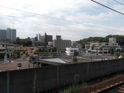猫のぷーさんさんの鹿嶋市観光案内所の投稿写真1