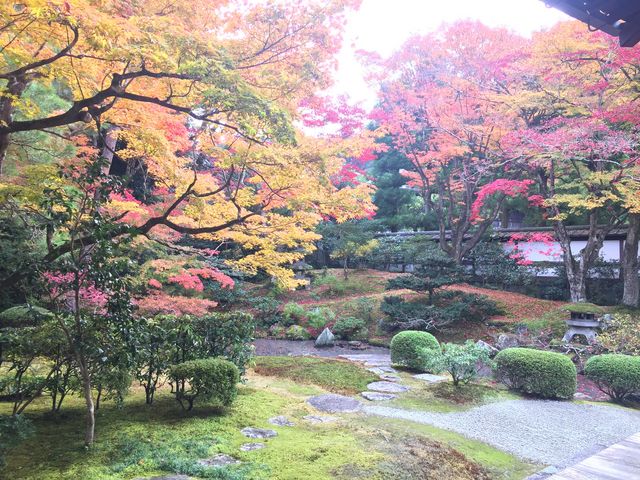 泉涌寺庭園
