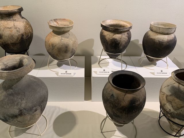 鳥取市青谷上寺地遺跡展示館