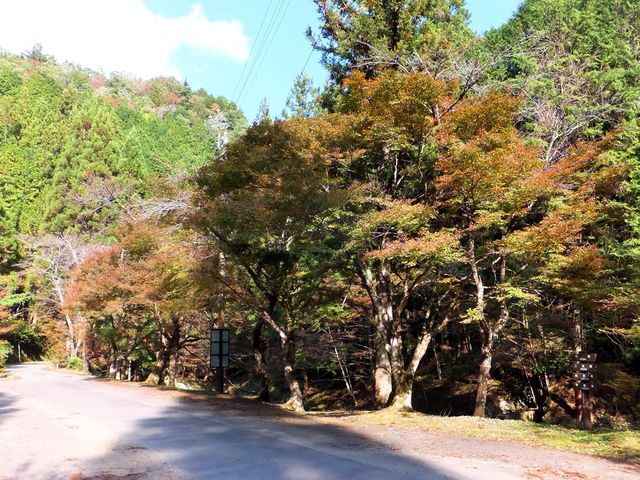 横谷峡