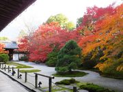 ニコちゃんさんの天授庵(南禅寺塔頭)の投稿写真1