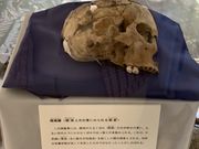 スターさんの鳥取市青谷上寺地遺跡展示館の投稿写真1