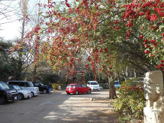 令和二年1月2日_長楽寺動物霊園