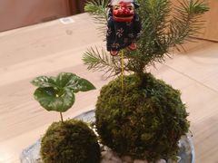 モジュナさんの伊勢夫婦岩めおと横丁への投稿写真1