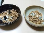 さささんの橘陶房の投稿写真2