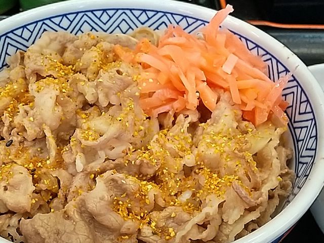 牛丼には紅生姜と七味唐辛子が欠かせない!_吉野家環状通美園店