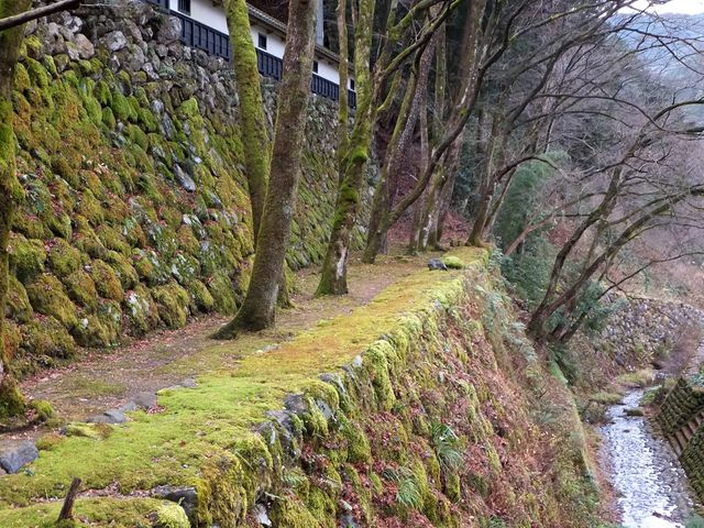 こぼらさんの飛鳥川の投稿写真1