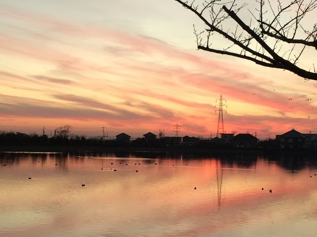 秋の袋公園_袋公園