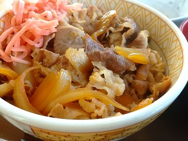 やっぱり牛丼はすき屋かなぁ。_すき家塩釜北浜店