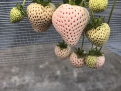 FarmersConciergeの写真1