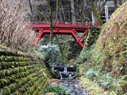 こぼらさんの飛鳥川の投稿写真1
