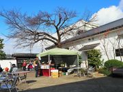 雷ちゃんさんのキザクラ カッパ カントリーの投稿写真10