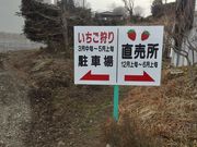 ぴかさんの山いちご園の投稿写真2