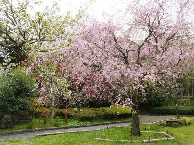 荒井城址公園