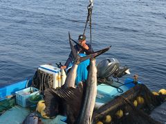 アッコちゃんさんの読谷村漁業協同組合への投稿写真2