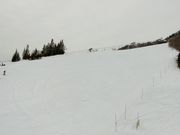 ぼっけーさんの岩原の投稿写真1