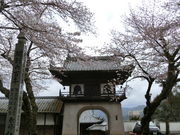 やんまあさんの桂林寺の投稿写真1