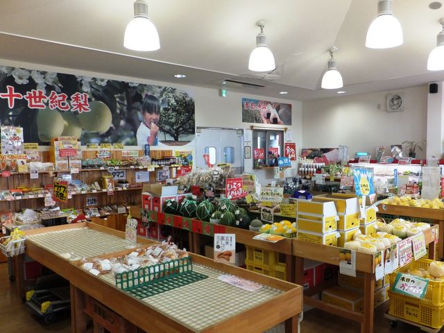 農産物売り場_道の駅 琴の浦